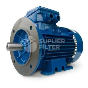 Flange and Foot Mounted